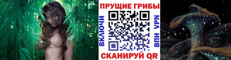 Галлюциногенные грибы мухоморы Краснодар